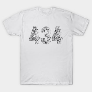 434 Area Code T-Shirts T-Shirt